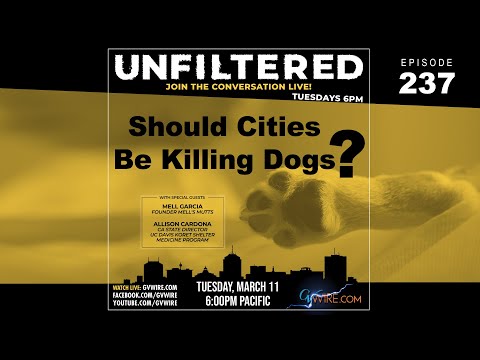 UNFILTERED #237 | Should Cities Be Killing Dogs? UNFILTERED #237 | Should Cities Be Killing Dogs?